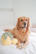 Lambwolf Collective Pineapple Enrichment Toy