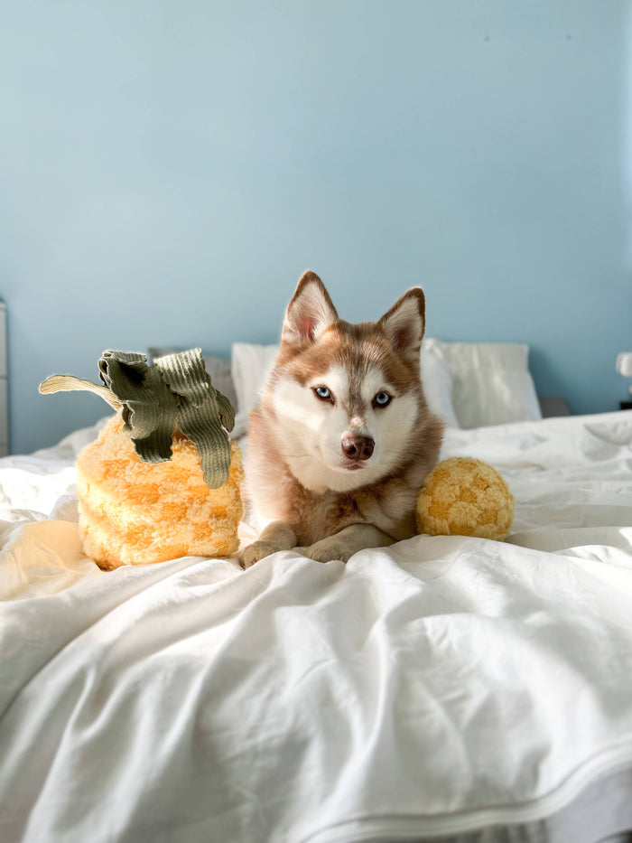 Lambwolf Collective Pineapple Enrichment Toy