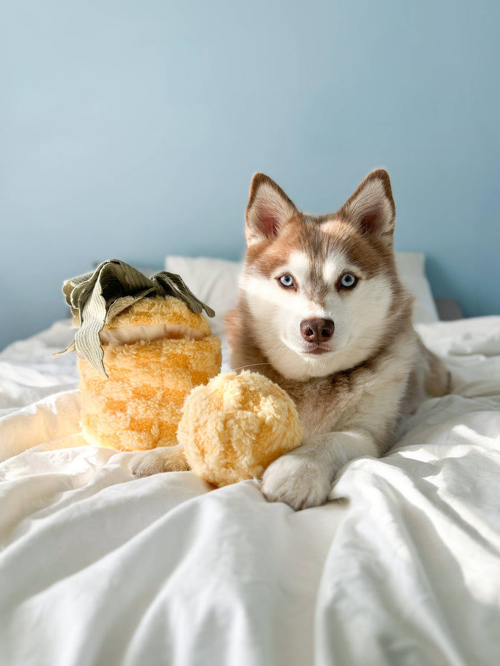 Lambwolf Collective Pineapple Enrichment Toy