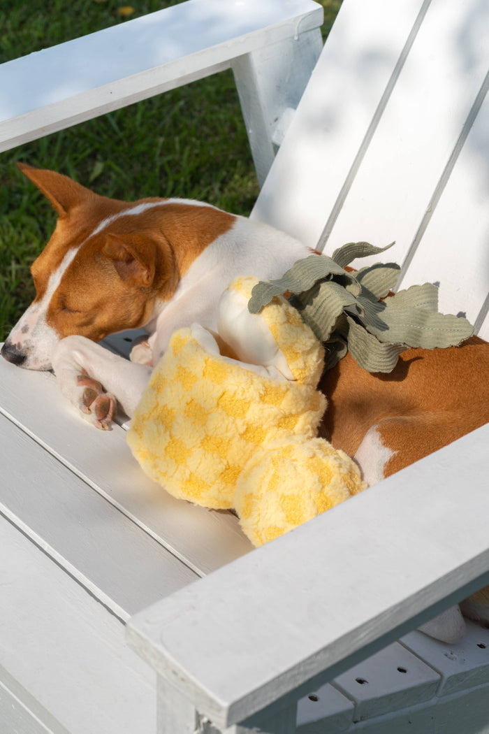Lambwolf Collective Pineapple Enrichment Toy