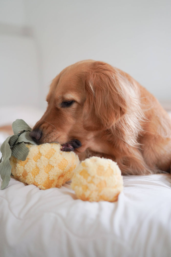 Lambwolf Collective Pineapple Enrichment Toy