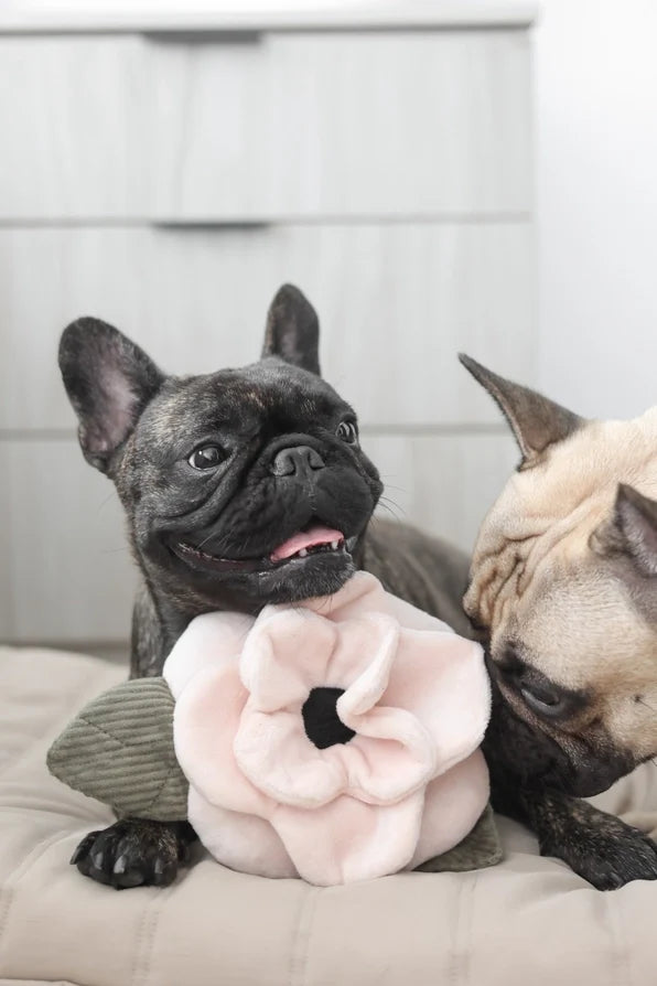Lambwolf Collective Poppy Enrichment Toy