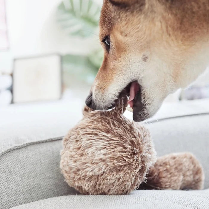 Lambwolf Collective Squirrel Pop Enrichment Toy