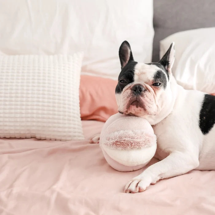 Lambwolf Collective Toto Enrichment Toy