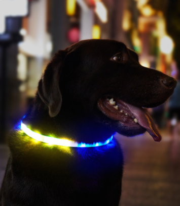 LaRoo Aurora Rechargeable LED Safety Collar