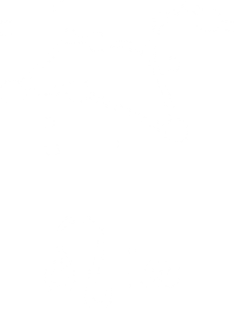 Leo Astrology Sign Vinyl Decal