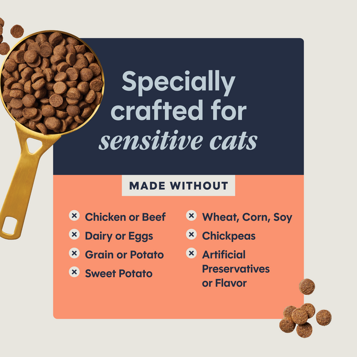 Limited Ingredient Diet Kibble Real Salmon Recipe