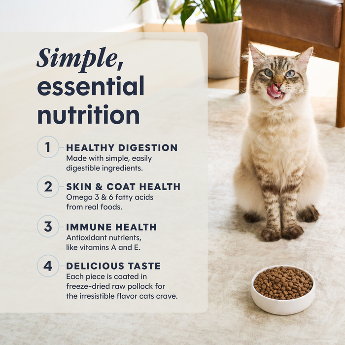 Limited Ingredient Diet Kibble Real Salmon Recipe
