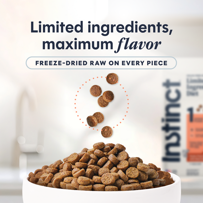 Limited Ingredient Diet Kibble Real Salmon Recipe