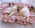 LofaMix Printed Silky Cooling Mat