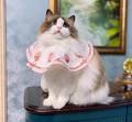LofaMix Strawberry Cake Bib