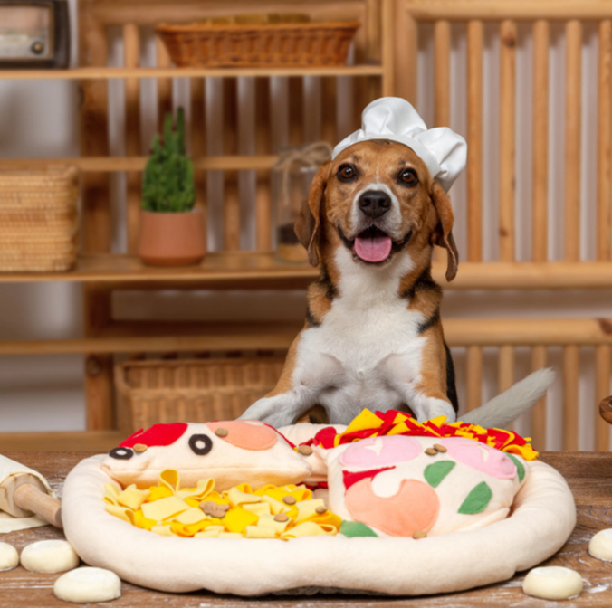 LuckyPet Pizza Snuffle Toy