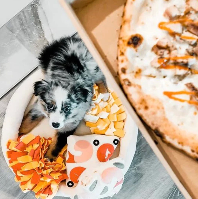 LuckyPet Pizza Snuffle Toy
