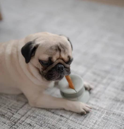 Lunoji Chewden Grip: Dog Chew Holder | Enrichment Tool | Dog Safety