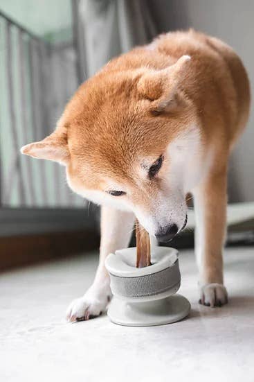Lunoji Chewden Grip: Dog Chew Holder | Enrichment Tool | Dog Safety