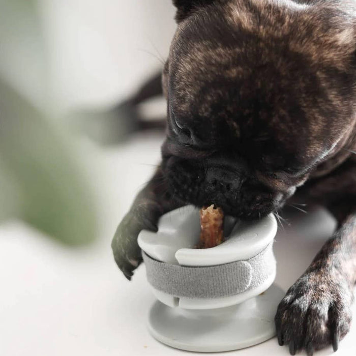 Lunoji Chewden Grip: Dog Chew Holder | Enrichment Tool | Dog Safety