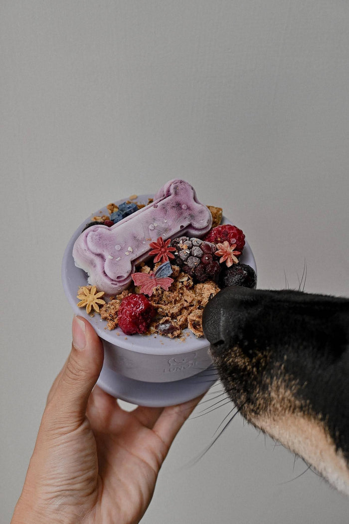 Lunoji Chewden Trove: Dog Enrichment Feeder | Frozen Treat Cup