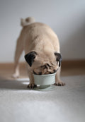 Lunoji Chewden Trove: Dog Enrichment Feeder | Frozen Treat Cup