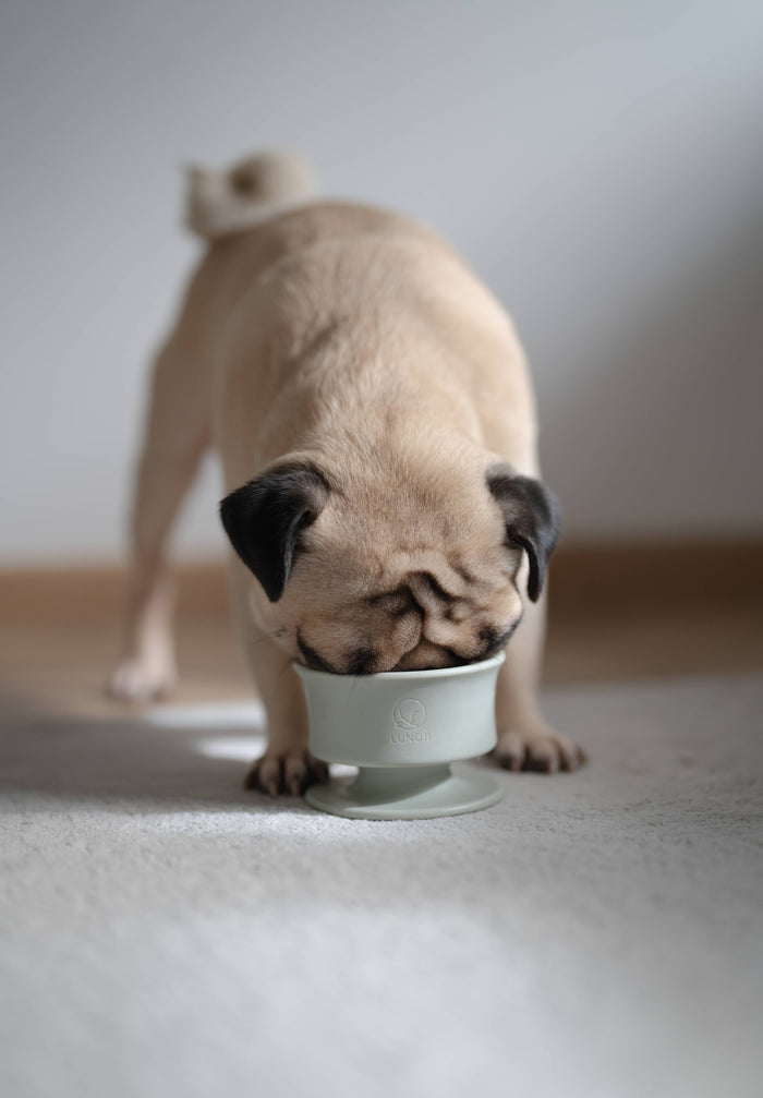 Lunoji Chewden Trove: Dog Enrichment Feeder | Frozen Treat Cup