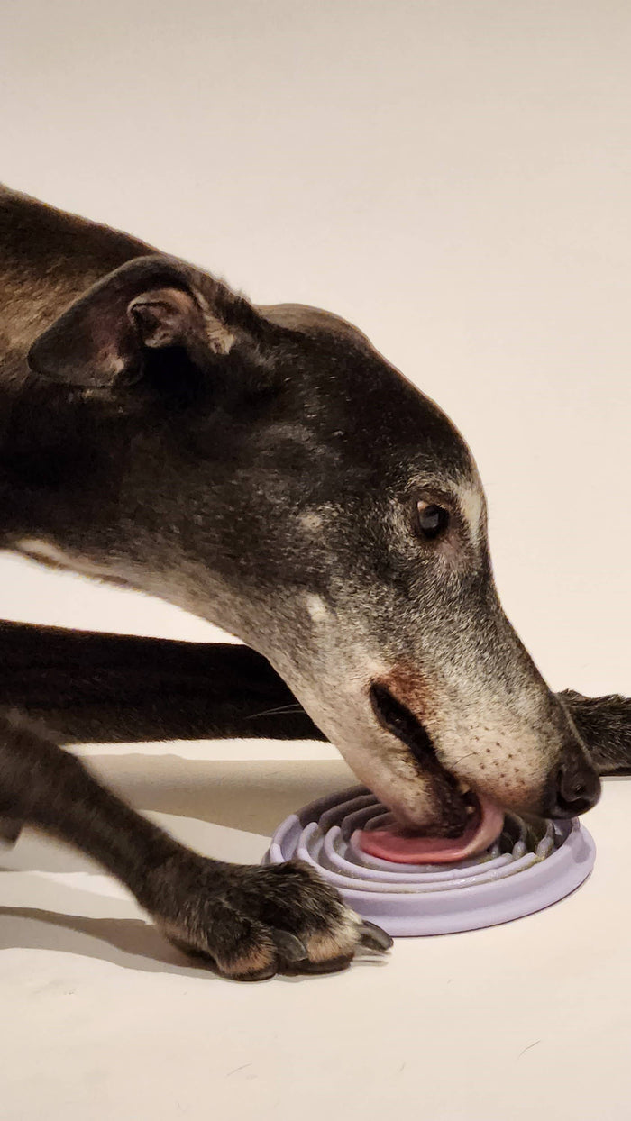 Lunoji Twirl: Easy Clean Lick Mat | Comes in a Pair | Innovative