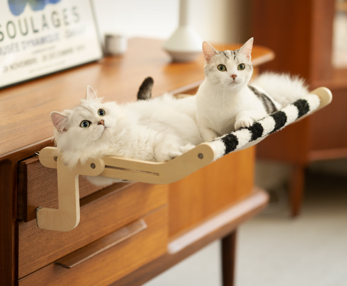 Meoof Multi-Scene Hammock Plus