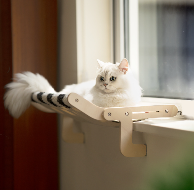 Meoof Multi-Scene Hammock Plus