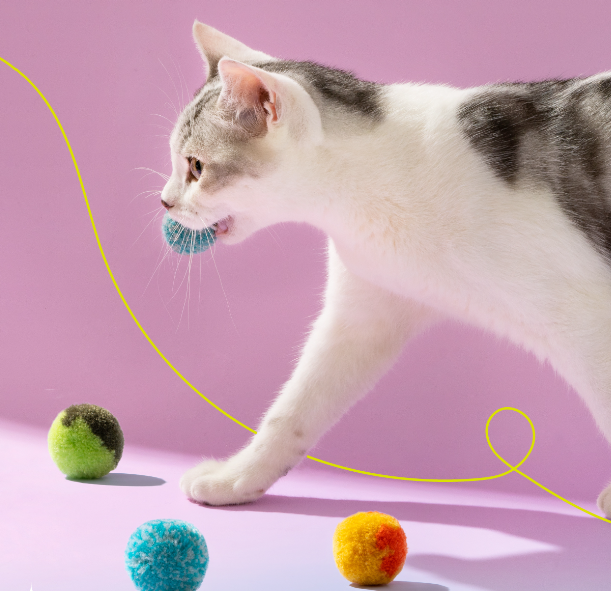 MewooFun PomPom Launcher