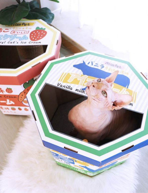 MissPet Ice cream Box