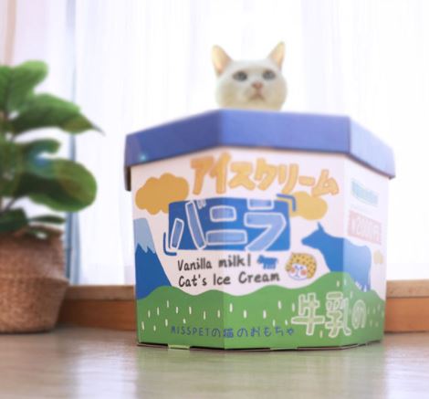 MissPet Ice cream Box