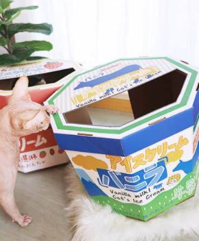 MissPet Ice cream Box