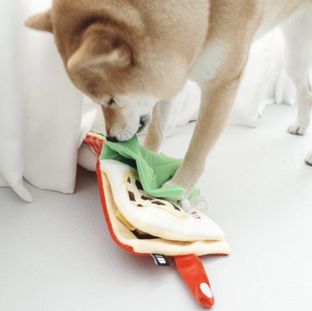 MyFluffy LunchBox Book Snuffle Toy