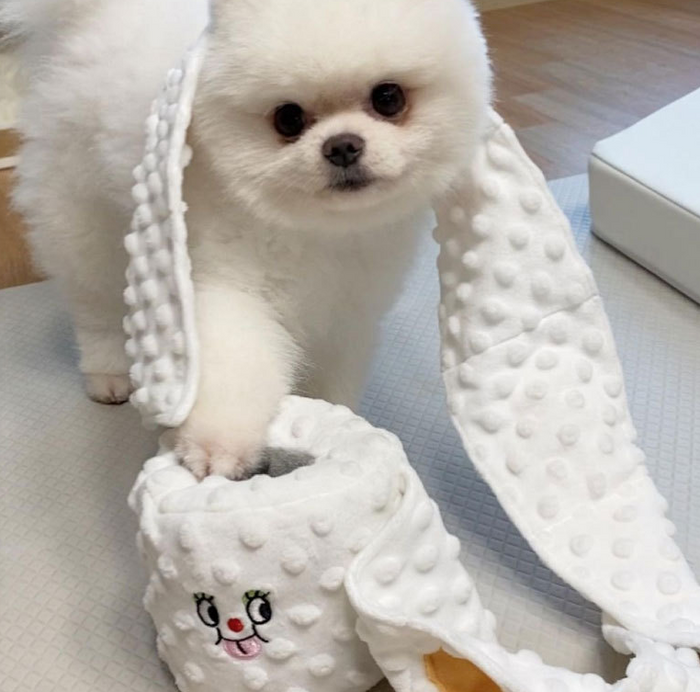 MyFluffy Toilet Roll Snuffle Toy