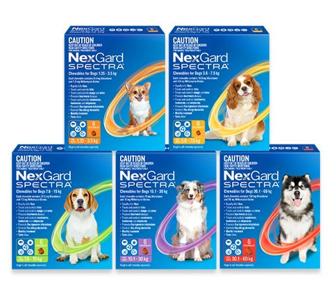 Nextgard Spectra for Dogs 6 Chewables