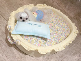 Nifty Fairy Oval Pet Cot