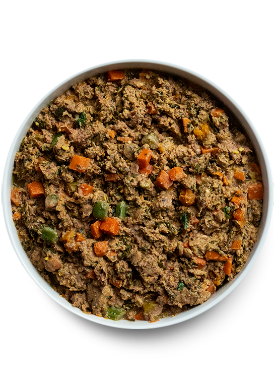 Open Farm Grass-Fed Beef & Brown Rice Gently Cooked Recipe Wet Dog Food