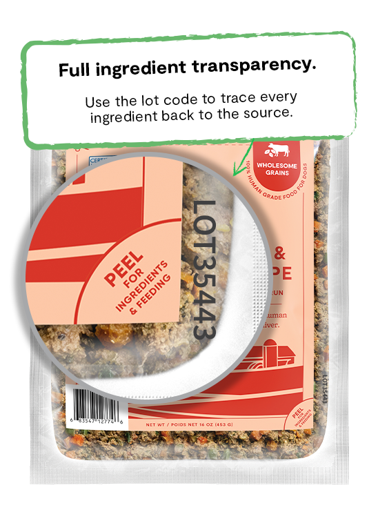 Open Farm Grass-Fed Beef & Brown Rice Gently Cooked Recipe Wet Dog Food