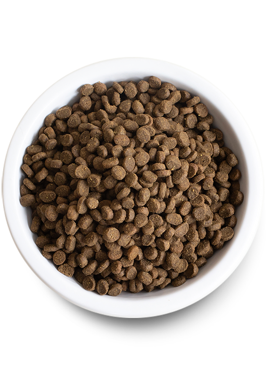 Open Farm Kitten Grain-Free Chicken & Turkey Recipe Dry Cat Food
