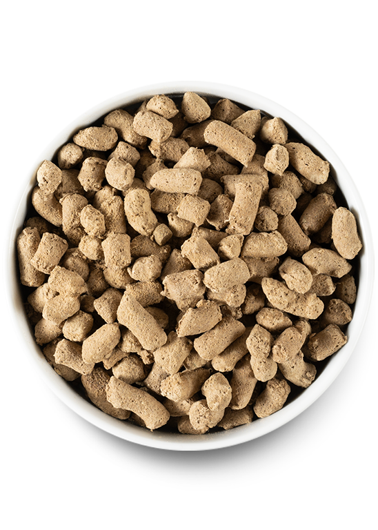 Open Farm Pasture-raised Lamb Freeze Dried Raw Dog Food