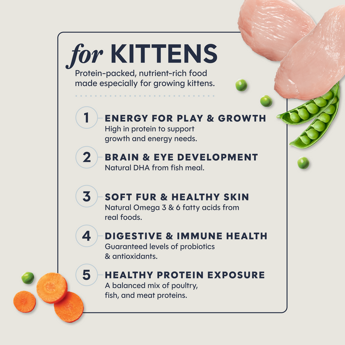 Original Kibble for Kittens Chicken Recipe