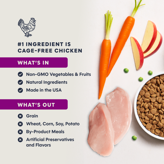 Original Kibble for Kittens Chicken Recipe