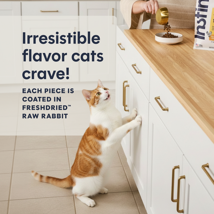 Original Kibble Real Rabbit Recipe