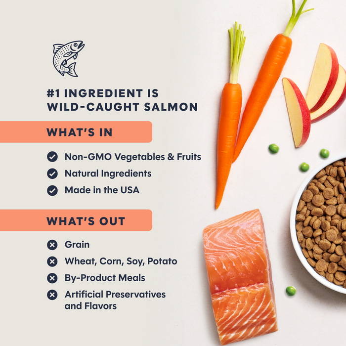 Original Kibble Real Salmon Recipe