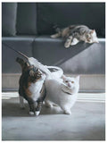 PALS WOW Extra Large Feather Cat Teaser with Silvervine