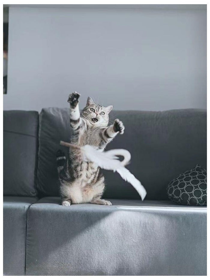 PALS WOW Extra Large Feather Cat Teaser with Silvervine