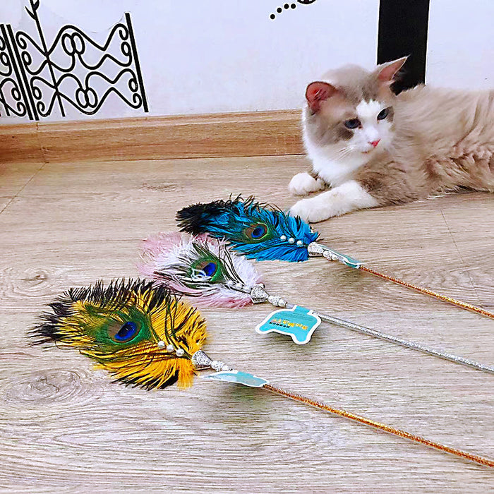 PalsWow Peacock Feather Cat Teaser