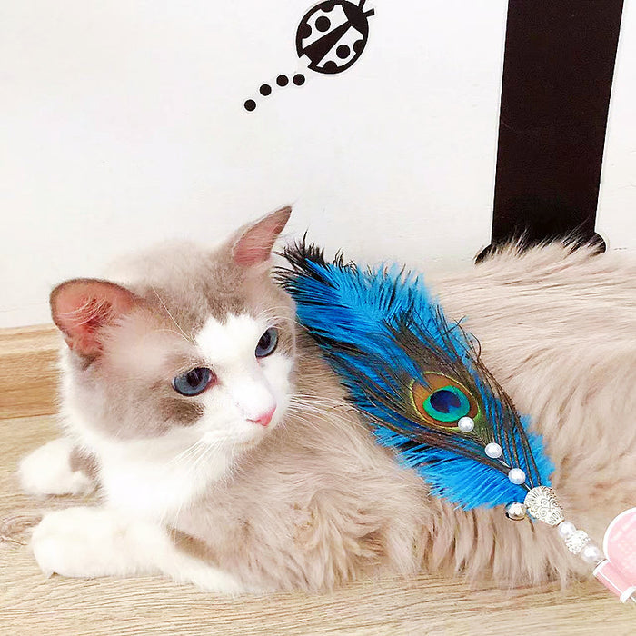 PalsWow Peacock Feather Cat Teaser