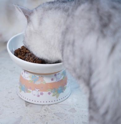 Pan's Rabbits High Stand Ceramic Bowl