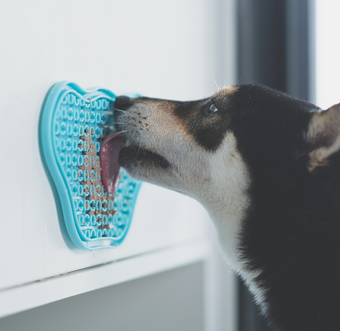 Paw 2-in-1 Slow Feeder Bowl&Lick Pad