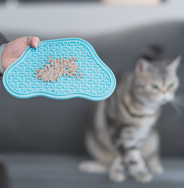 Paw 2-in-1 Slow Feeder Bowl&Lick Pad