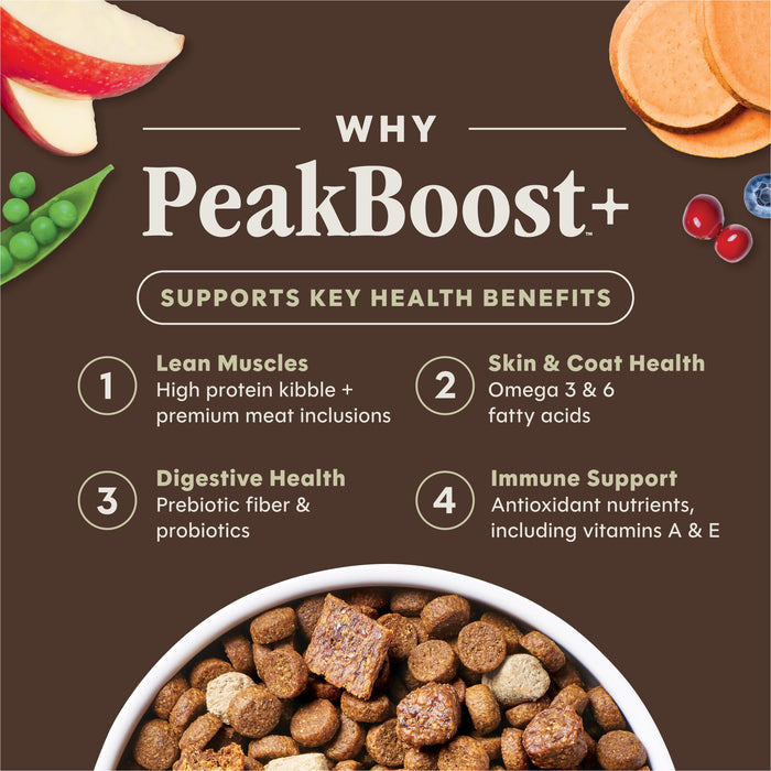PeakBoost+ Kibble Real Beef Recipe